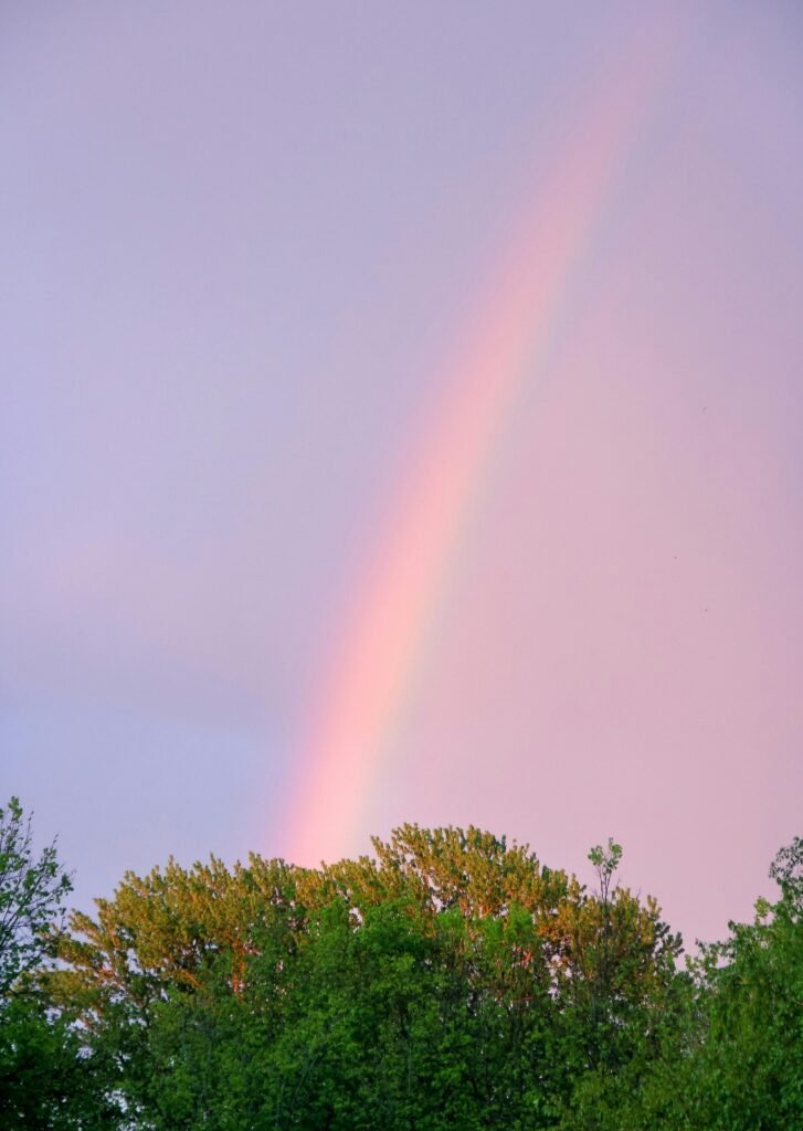 A majestic rainbow arches over green trees against a serene evening sky, capturing nature's beauty.