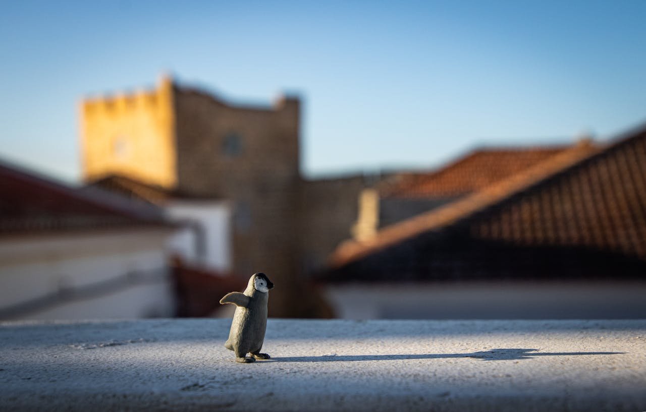 portfolio-img-01 A charming toy penguin stands on a rooftop in the bright sunlight of Sines, Portugal.