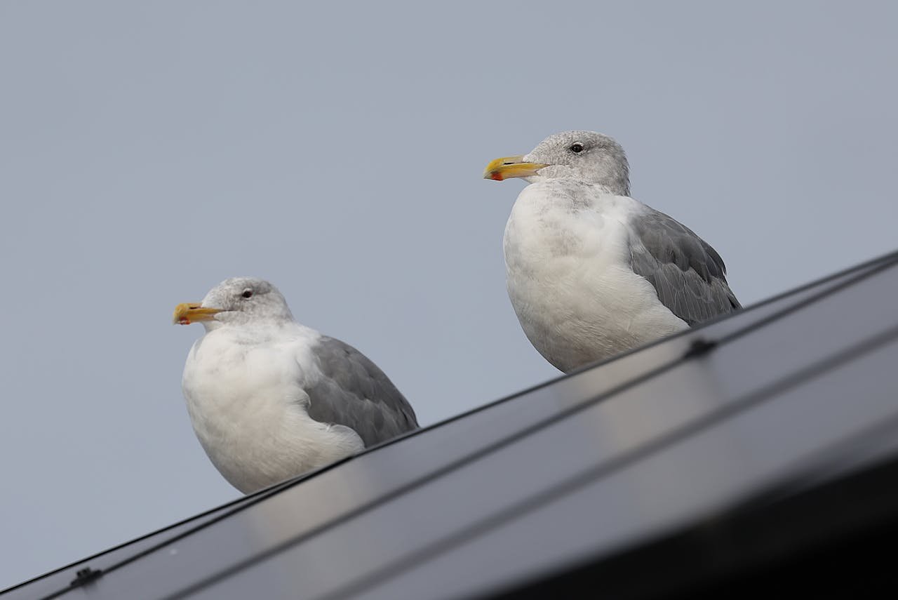 hero-gallery-03 pexels-photo-34054855.jpeg